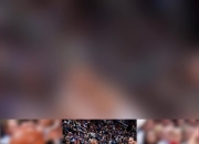 巴特勒，东契奇，险胜！